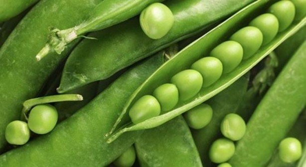 Foto - Bezelye diyabete iyi geliyor!