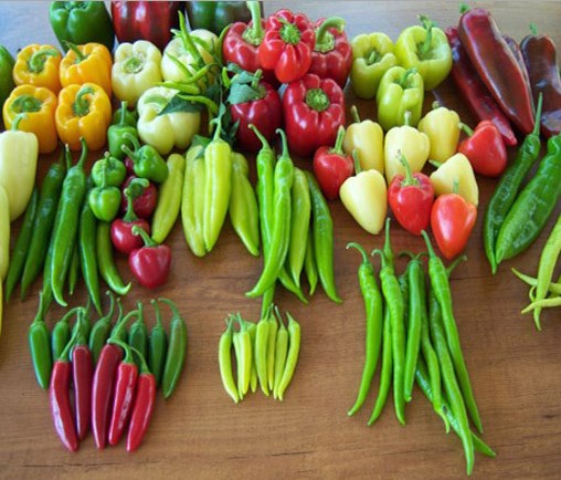 Foto - Biber yemek için 13 neden!