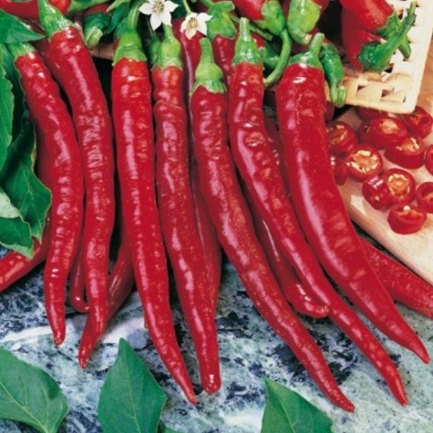 Foto - Biberin 10 muhteşem faydası