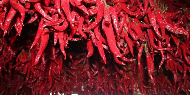 Foto - Biberin 10 muhteşem faydası