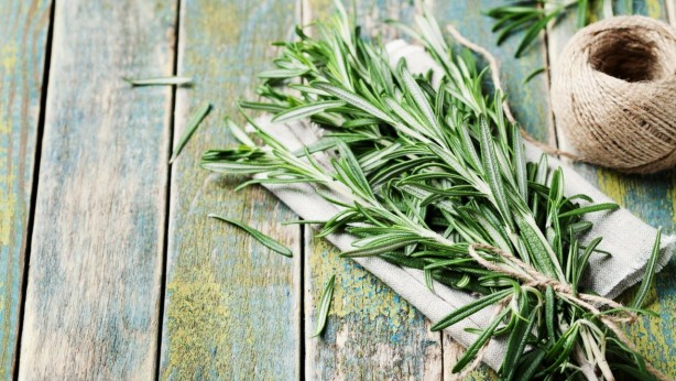 Foto - Biberiyenin faydaları nelerdir ve nasıl kullanılır? Biberiye bitkisi neye iyi gelir?