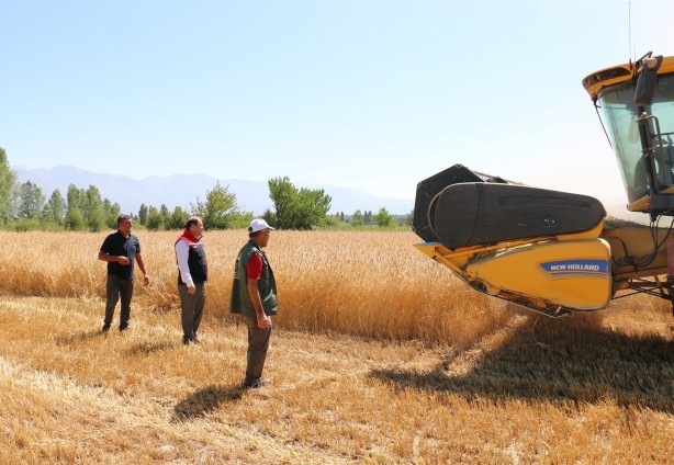 Foto - Biçerdöverler takip altında