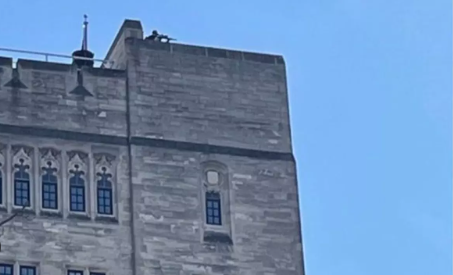 Foto - Biden, İsrail’e verdiği desteğin bedelini ödüyor! Filistin’e destek gösterileri birçok eyalete yayıldı