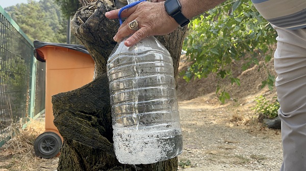 Foto - Bidon bidon alıyorlar! Bu maden suyu şişeden değil çeşmeden içiliyor