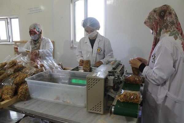 Foto - Bildiğiniz tüm makarnaları unutun! Öyle bir şey yaptı ki talebe yetişemiyor