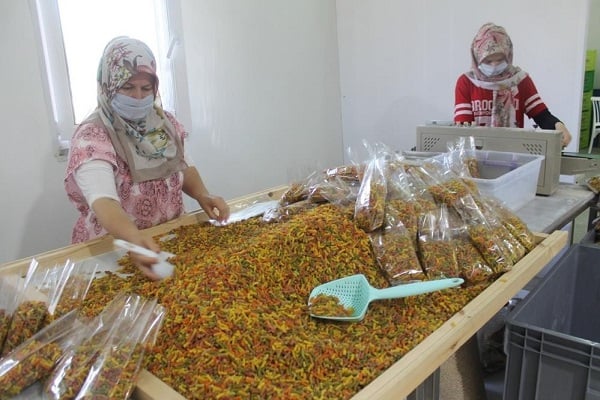 Foto - Bildiğiniz tüm makarnaları unutun! Öyle bir şey yaptı ki talebe yetişemiyor
