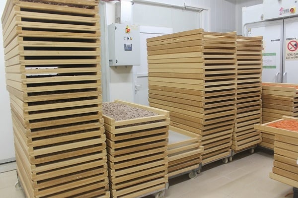 Foto - Bildiğiniz tüm makarnaları unutun! Öyle bir şey yaptı ki talebe yetişemiyor