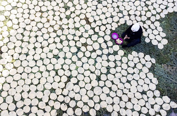 Foto - Bildiğiniz tüm tarhanaları unutun! 