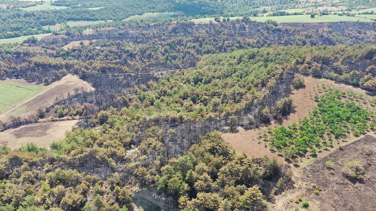 Foto - Bilecik’te orman yangını faciaya dönüştü! Yanan alanlar havadan böyle görüntülendi