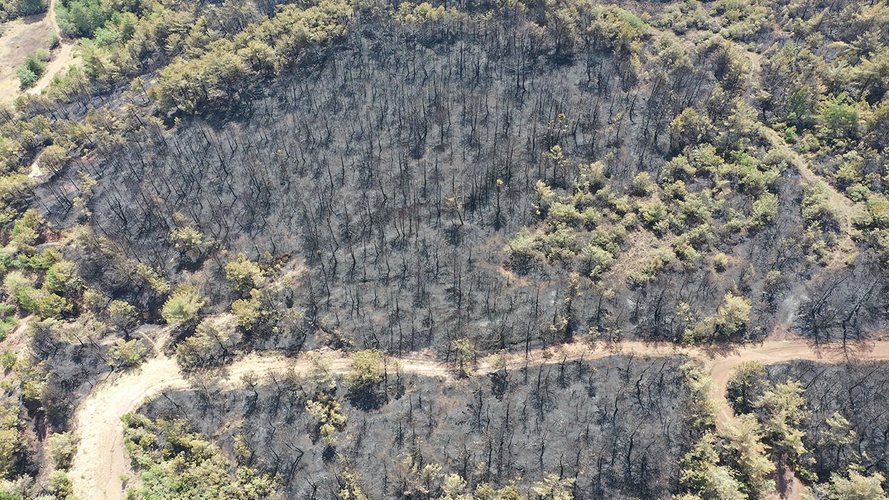 Foto - Bilecik’te orman yangını faciaya dönüştü! Yanan alanlar havadan böyle görüntülendi