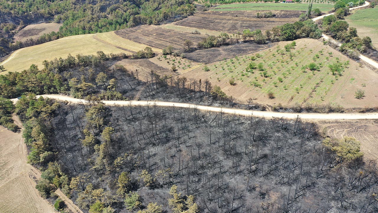 Foto - Bilecik’te orman yangını faciaya dönüştü! Yanan alanlar havadan böyle görüntülendi