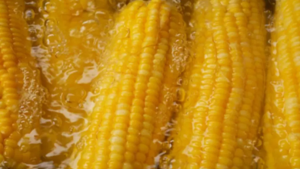 Bilenler, bir damlasını bile dökmüyor! Haşlanmış mısırın suyu tam bir şifa deposu çıktı! Faydalarını duyunca küçük dilinizi yutacaksınız