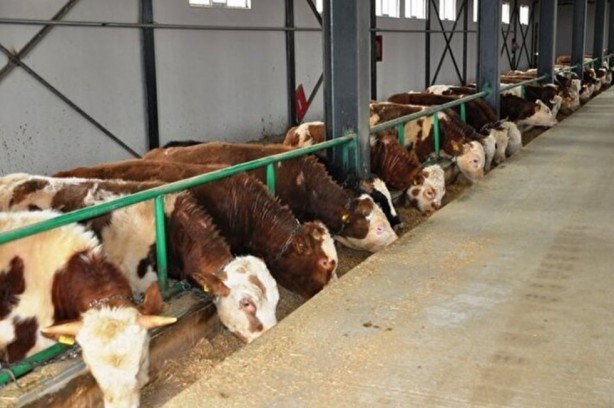 Foto - Bileziklerini satıp başlamıştı... Şimdi taleplere yetişemiyor