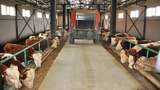 Foto - Bileziklerini satıp başlamıştı... Şimdi taleplere yetişemiyor