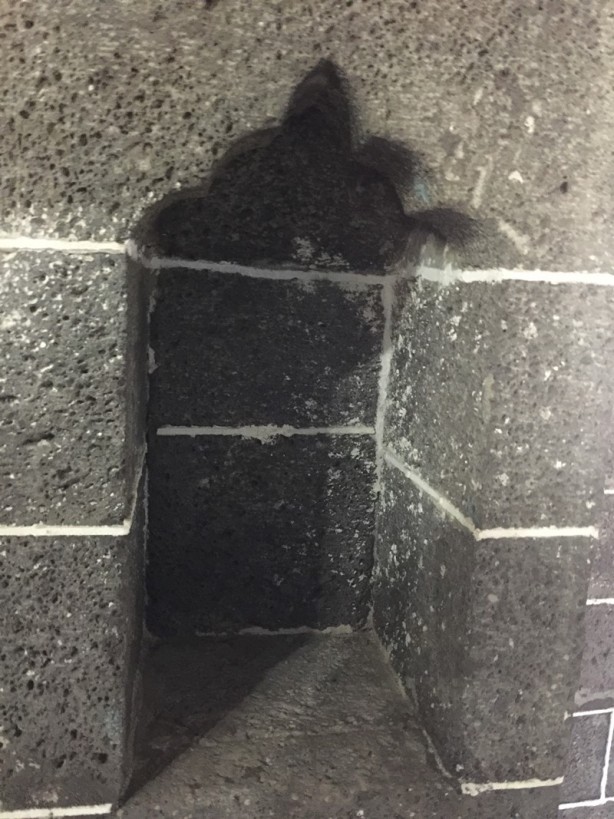 Foto - Bilgi arayanların adresi: Ahmet Arif Edebiyat Müze Kütüphanesi