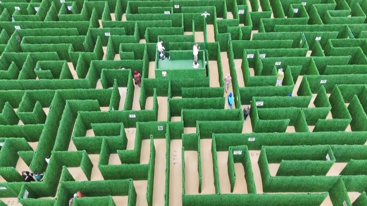 Foto - Bilgiyle yolunu çiz! Soruyu bilemezsen bu labirentten çıkman imkansız