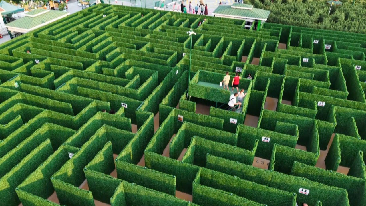 Bilgiyle yolunu çiz! Soruyu bilemezsen bu labirentten çıkman imkansız