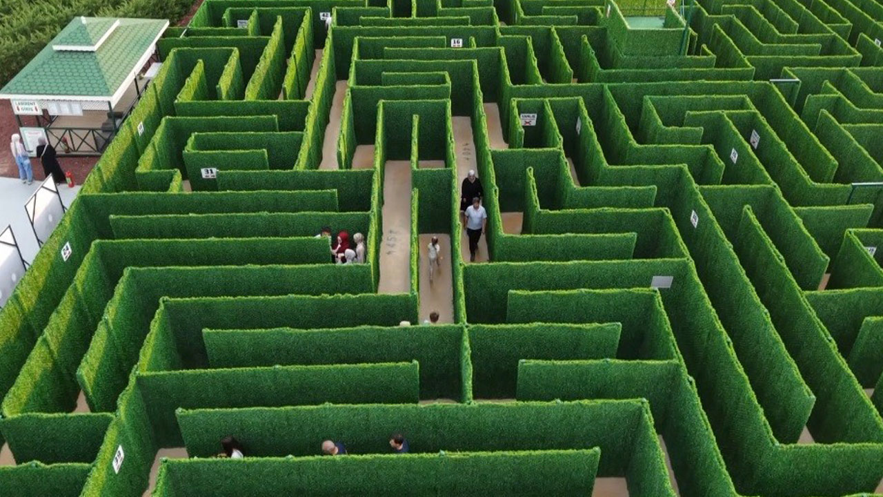 Foto - Bilgiyle yolunu çiz! Soruyu bilemezsen bu labirentten çıkman imkansız