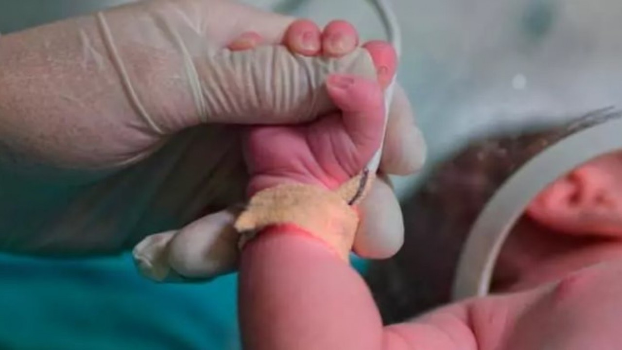 Bilim adamları açıkladı: Bu ayda doğanlar daha zeki!