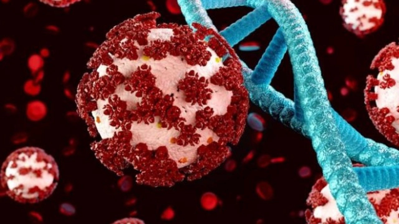 Foto - Bilim adamları açıkladı! Kronik yorgunluk tarihe karışıyor