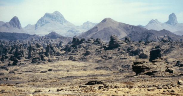 Foto - Bilim adamları çukurun içerisine gizlenmiş bir şekilde onun yüzünü fark etti! Meğerse bizleri izliyormuş