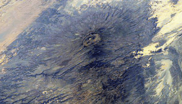 Foto - Bilim adamları çukurun içerisine gizlenmiş bir şekilde onun yüzünü fark etti! Meğerse bizleri izliyormuş