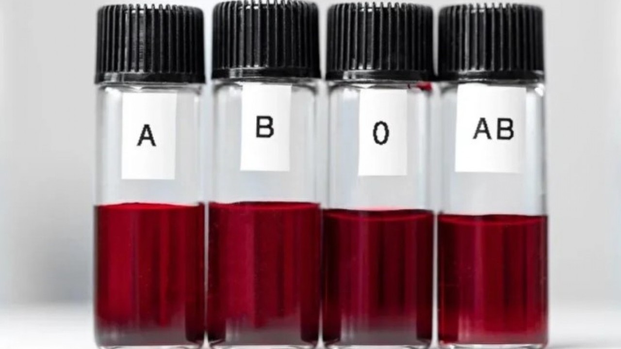 Foto - Bilim adamları açıkladı: Bu kan gurubu daha geç yaşlanıyor!