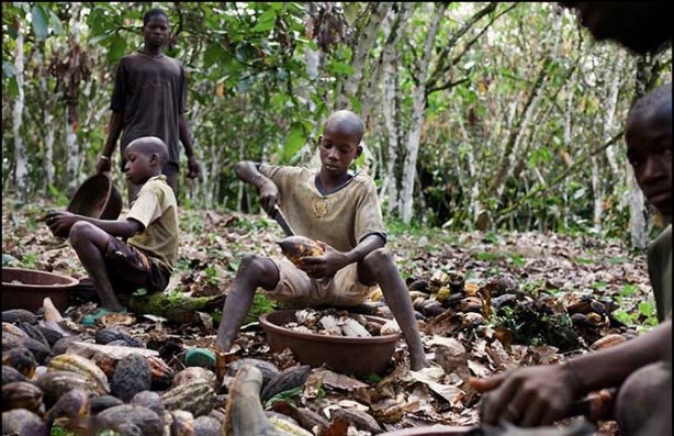 Foto - Bilim adamları kanıtladı: Beyni motor gibi çalıştırıyor!