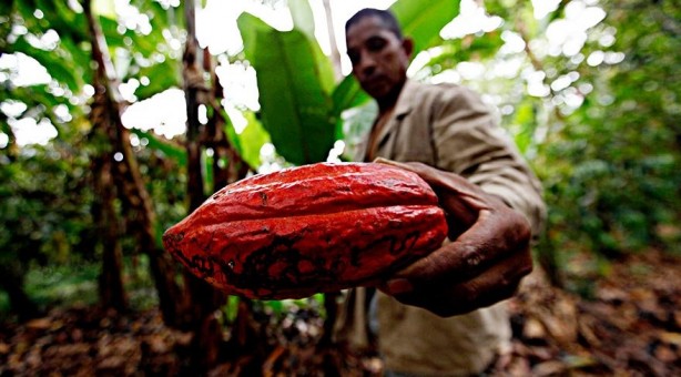 Foto - Bilim adamları kanıtladı: Beyni motor gibi çalıştırıyor!