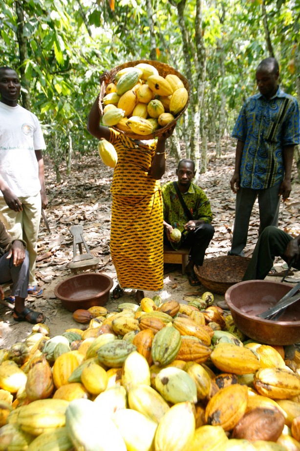 Foto - Bilim adamları kanıtladı: Beyni motor gibi çalıştırıyor!