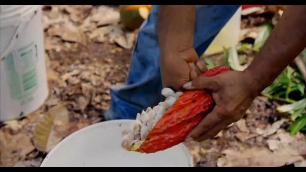 Foto - Bilim adamları kanıtladı: Beyni motor gibi çalıştırıyor!