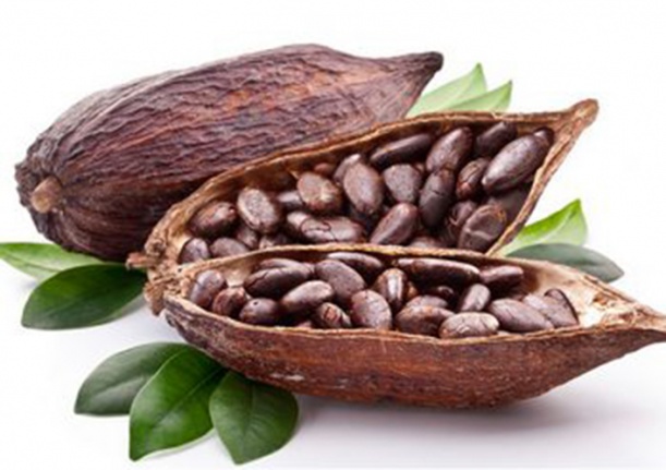 Foto - Bilim adamları kanıtladı: Beyni motor gibi çalıştırıyor!