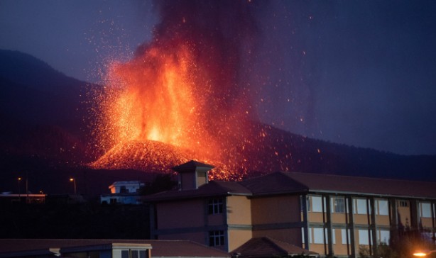 Foto - Bilim adamları şaşkın: Yanardağın patladığı La Palma'da arılar, 50 gün sonra kovanlardan canlı çıktı!