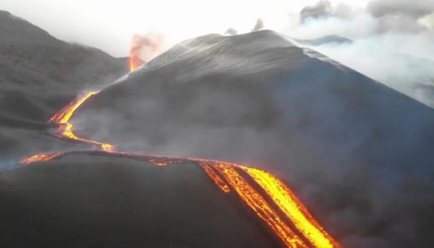 Foto - Bilim adamları şaşkın: Yanardağın patladığı La Palma'da arılar, 50 gün sonra kovanlardan canlı çıktı!