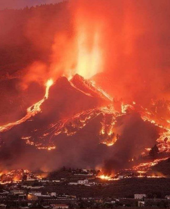 Bilim adamları şaşkın: Yanardağın patladığı La Palma'da arılar, 50 gün sonra kovanlardan canlı çıktı!
