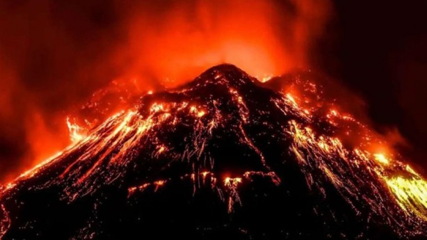 Foto - Bilim adamları şaşkın: Yanardağın patladığı La Palma'da arılar, 50 gün sonra kovanlardan canlı çıktı!