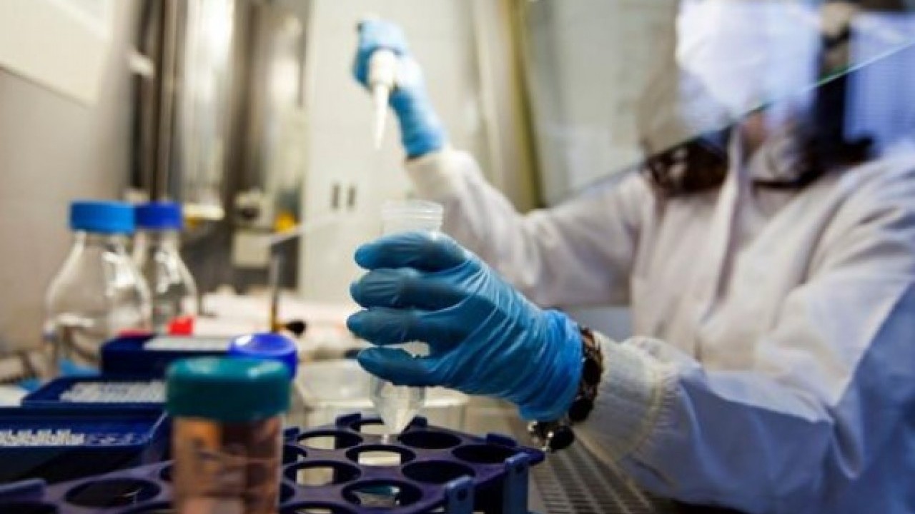 Foto - Bilim adamları uyardı! Karaciğer kanserinin temel nedeni keşfedildi