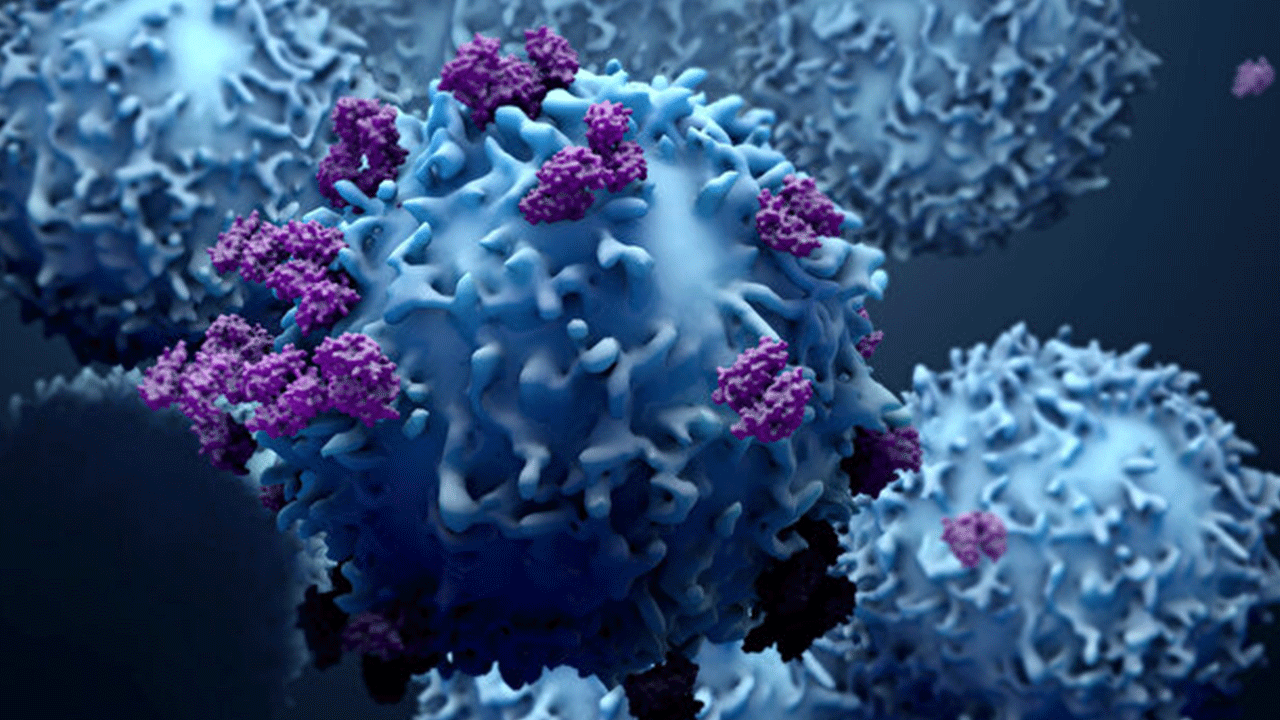 Foto - Bilim adamları hepsi iyileşti diyerek duyurdu: Kanseri yok ettiler!