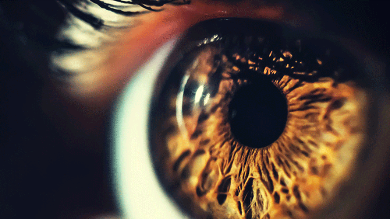 Bilim adamlarından çığır açan buluş: Körlük tarih mi oluyor?