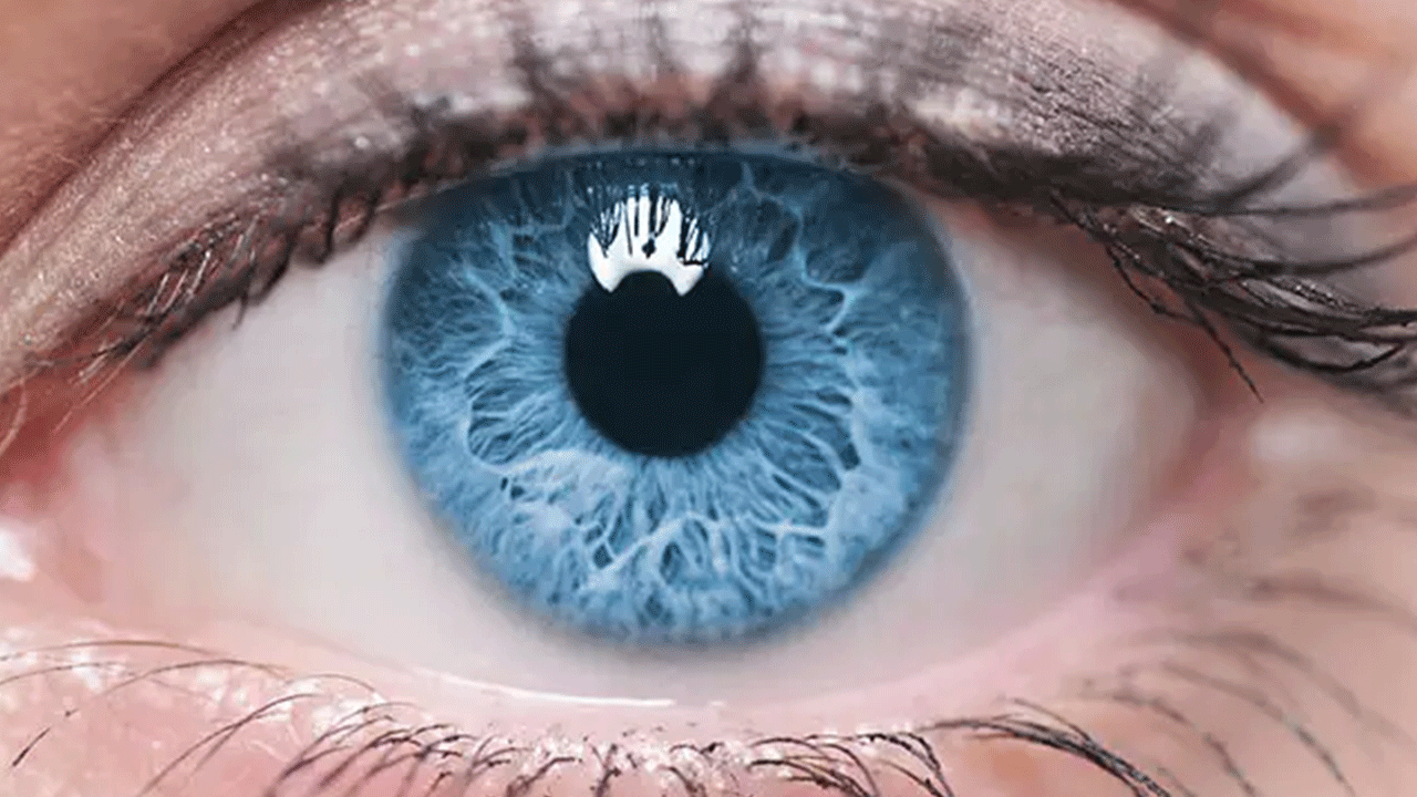 Foto - Bilim adamlarından çığır açan buluş: Körlük tarih mi oluyor?