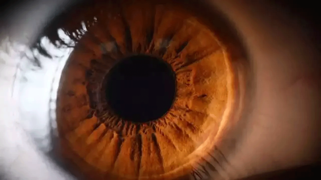 Foto - Bilim adamlarından çığır açan buluş: Körlük tarih mi oluyor?