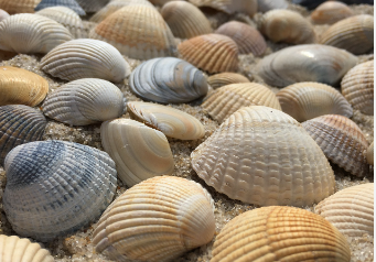 Foto - Bilim dünyası bile bu buluş karşısında şaşkın! Çimentodan 17 kat daha dayanıklı malzeme üretildi