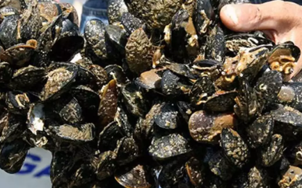 Foto - Bilim dünyası bile bu buluş karşısında şaşkın! Çimentodan 17 kat daha dayanıklı malzeme üretildi