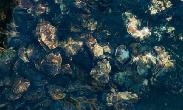 Bilim dünyası bile bu buluş karşısında şaşkın! Çimentodan 17 kat daha dayanıklı malzeme üretildi