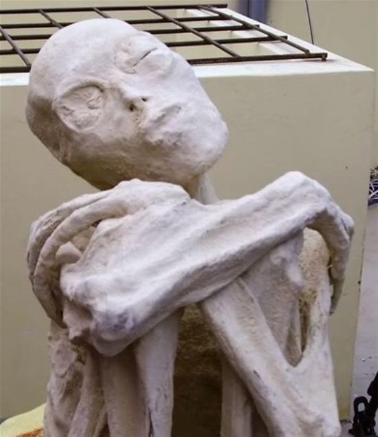 Foto - Bilim dünyası bunu açıklayamıyor