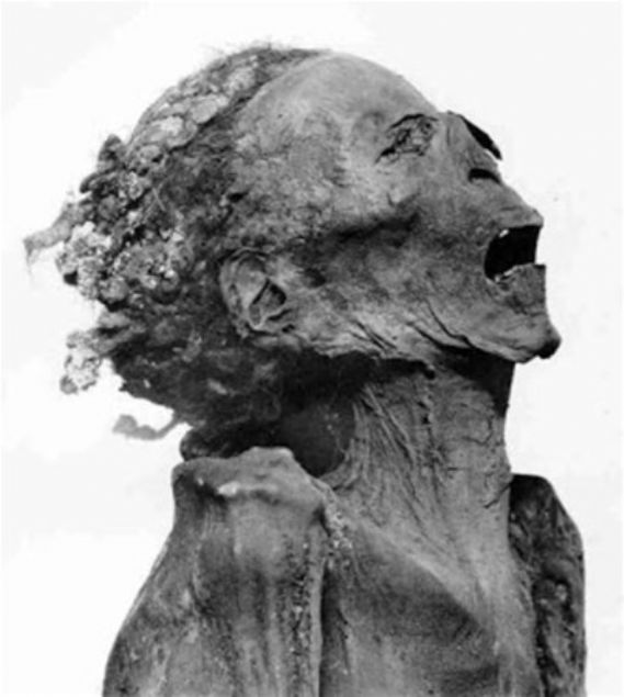 Foto - Bilim dünyası bunu açıklayamıyor