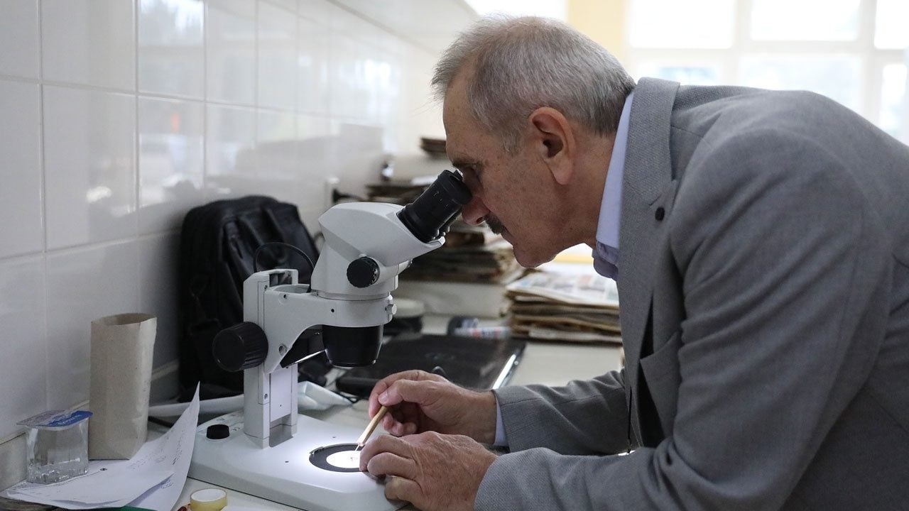Foto - Bilim dünyasına yeni bitki türü kazandırıldı! Taze nohut kokusu araştırmacıların dikkatini çekti
