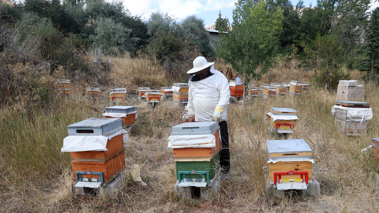 Bilim insanı, memur, muhtar… Emeklilik hayallerini devlet desteğiyle gerçekleştirdiler