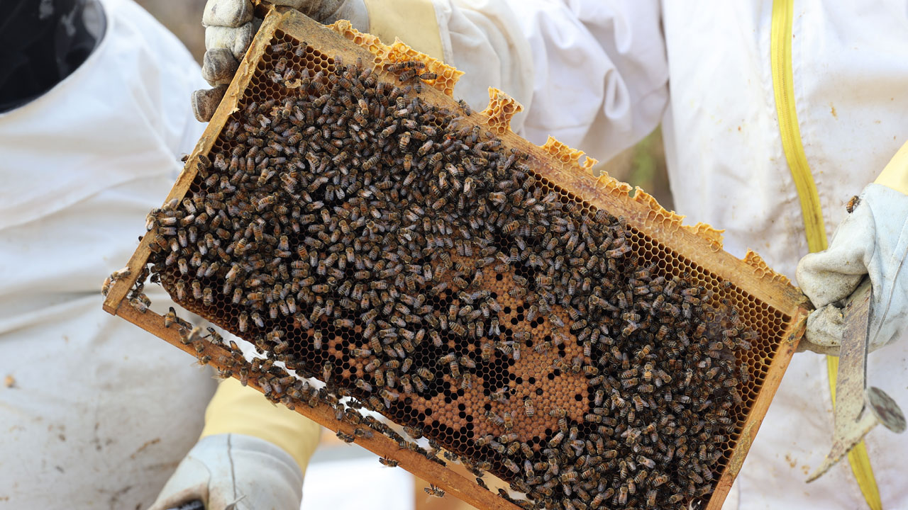 Foto - Bilim insanı, memur, muhtar… Emeklilik hayallerini devlet desteğiyle gerçekleştirdiler