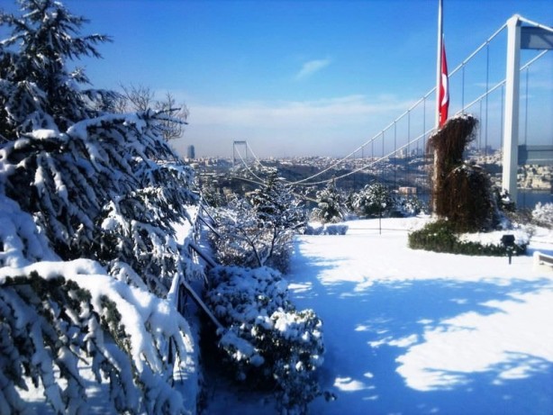 Foto - Bilim insanı 'Üzülerek belirtiyorum' diyerek Türkiye'ye şok edici haberi verdi: Artık ülkemizde göremeyebiliriz